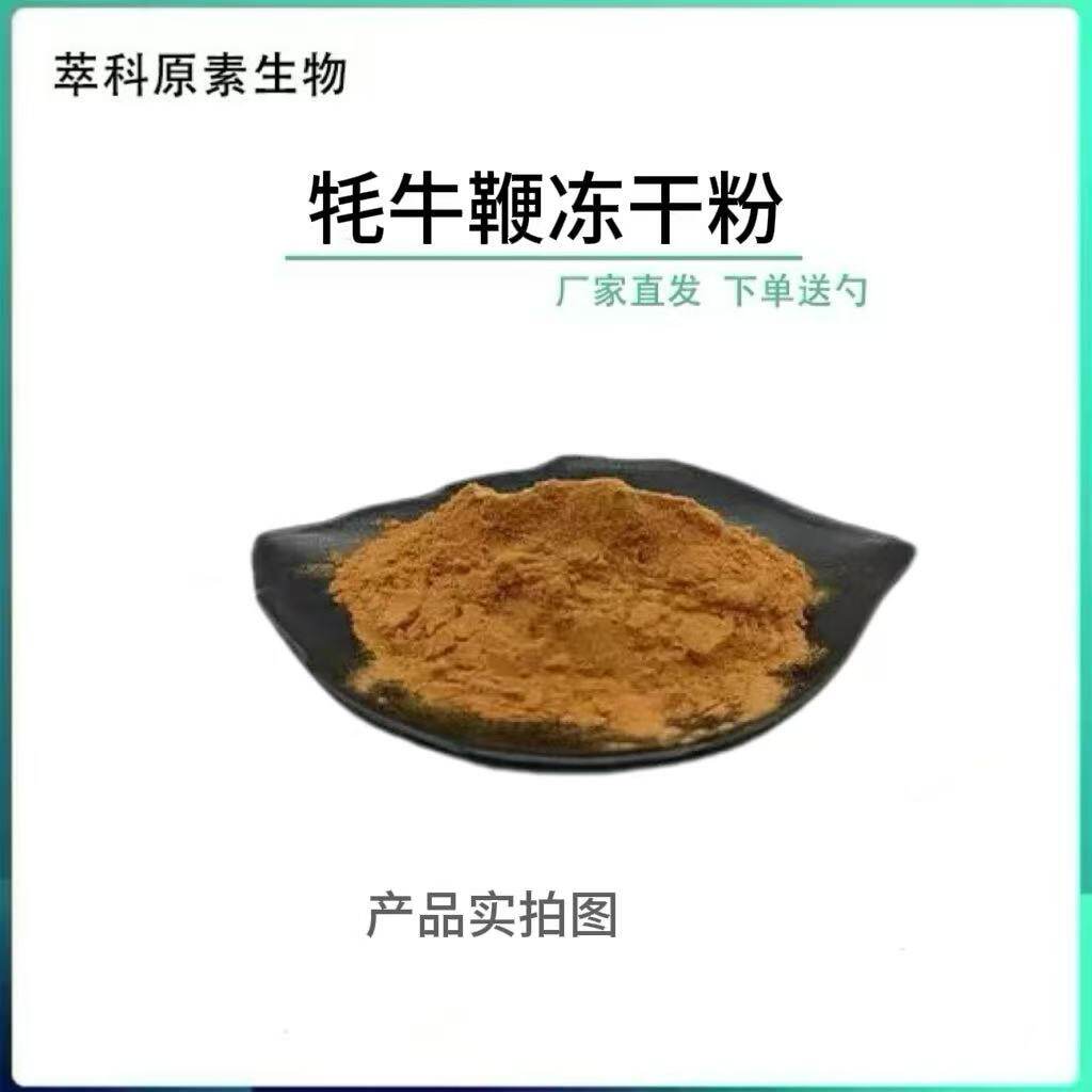 牦牛鞭粉 99% 牦牛鞭提取物 牦牛鞭冻干粉 牛睾丸粉厂家现货包邮