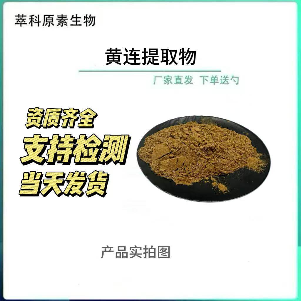 现货供应黄连提取物501规格