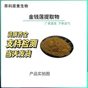 金线莲提取物 水溶金线莲粉 金线莲浓缩粉现货批发 金钱莲浸膏粉