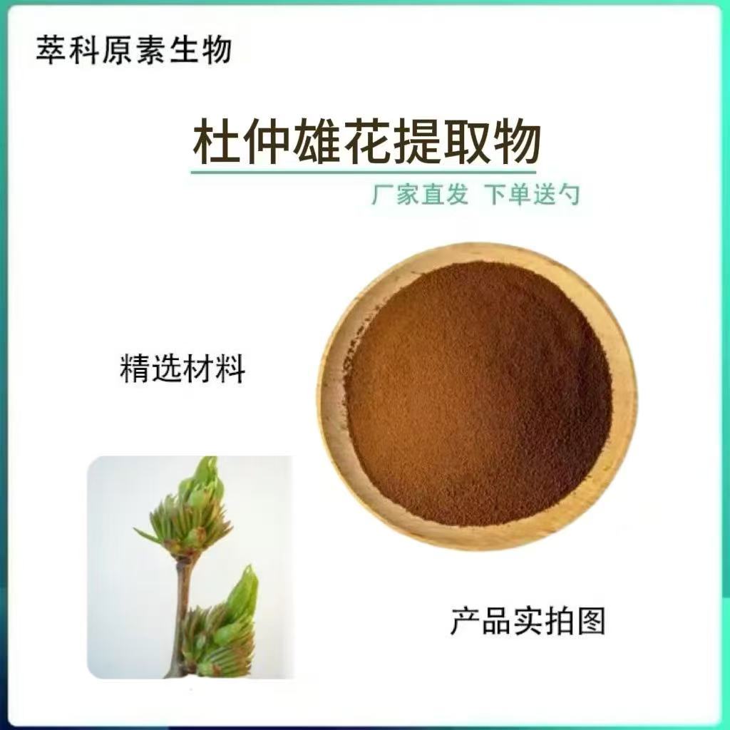 杜仲雄花提取物量大从优现货包邮