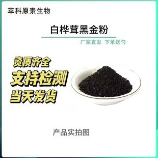 白桦茸黑金精粉 白桦茸多糖 白桦茸提取物 厂家直销 白桦茸黑金粉