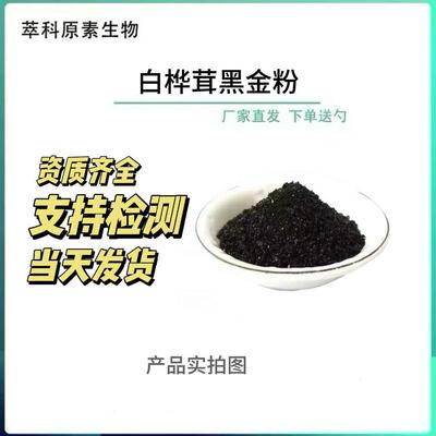 白桦茸黑金精粉白桦茸提取物