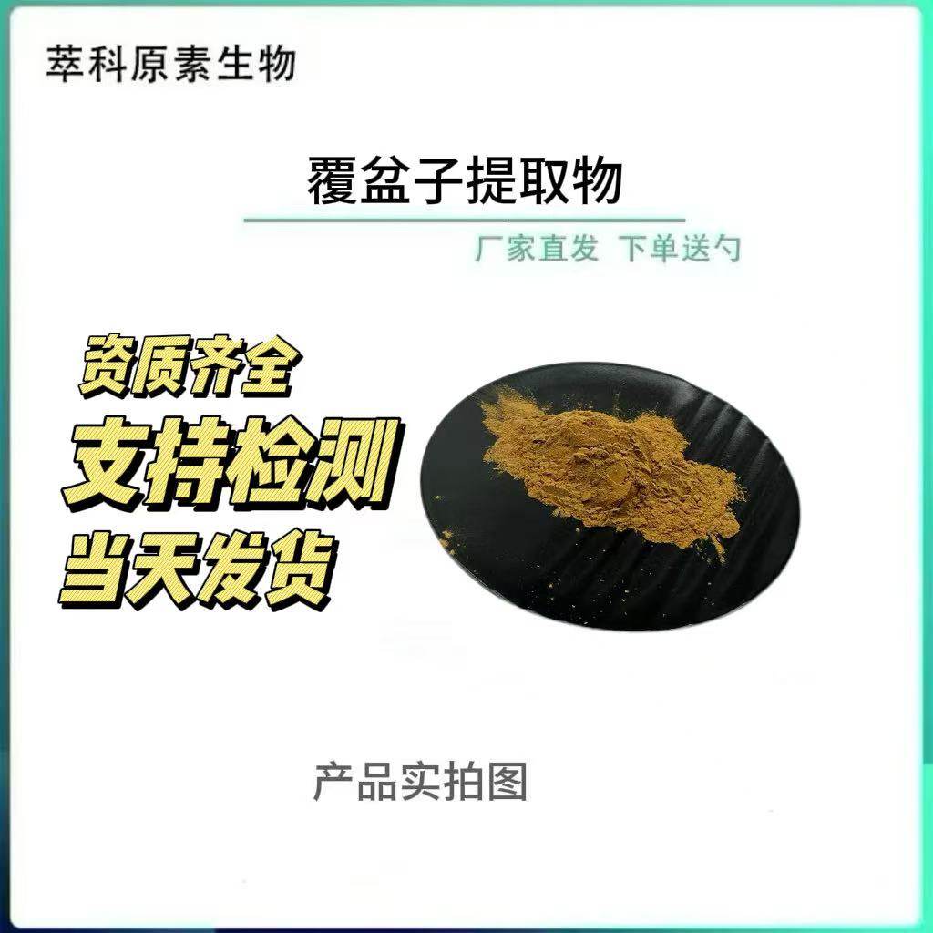 覆盆子提取物501规格