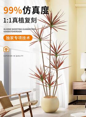 千年木模拟绿色植物客厅无障碍豪华装饰盆栽植物彷生龙血树室内地