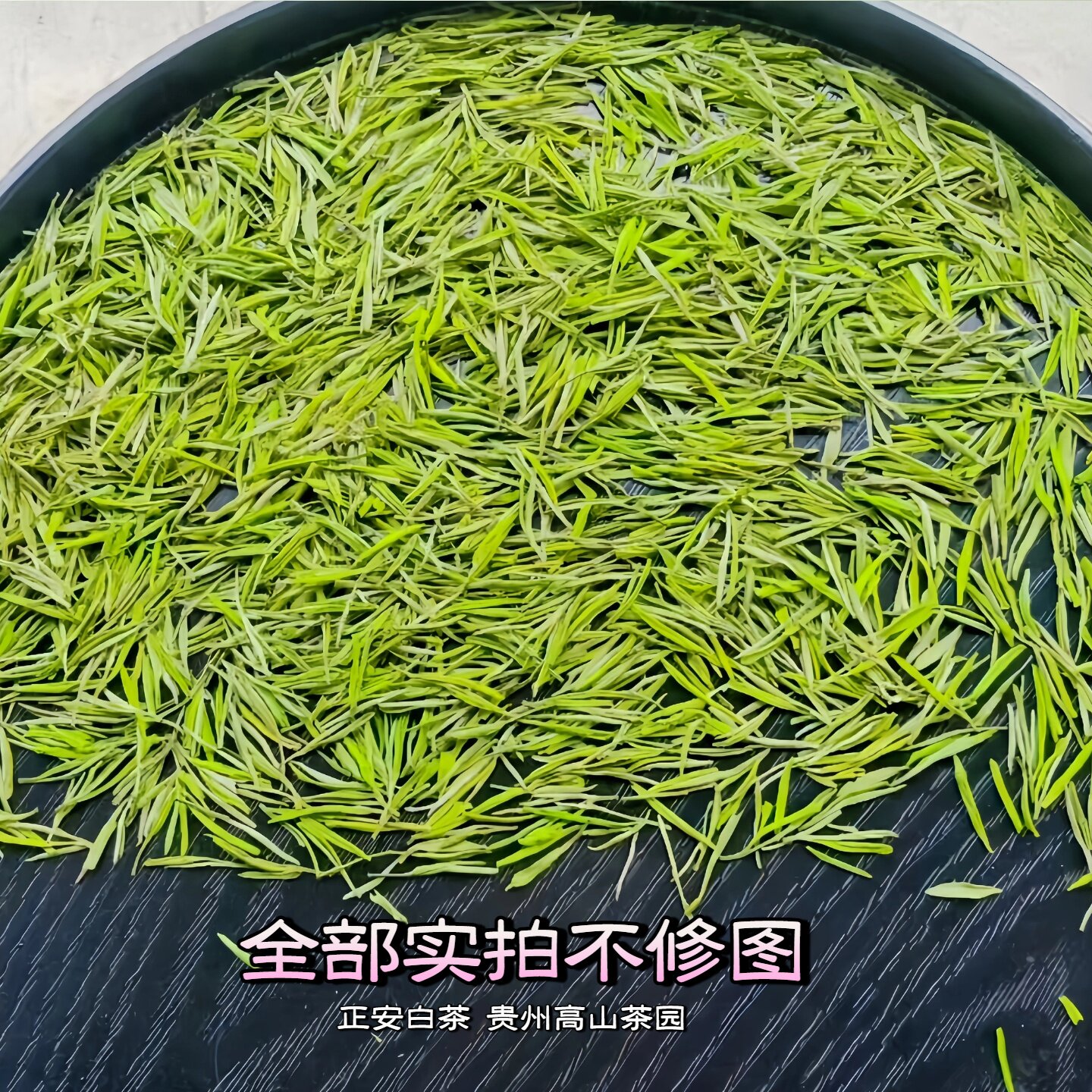 贵州正安白茶 2026新茶白茶清香 明前贵州高山茶叶白茶正安特产