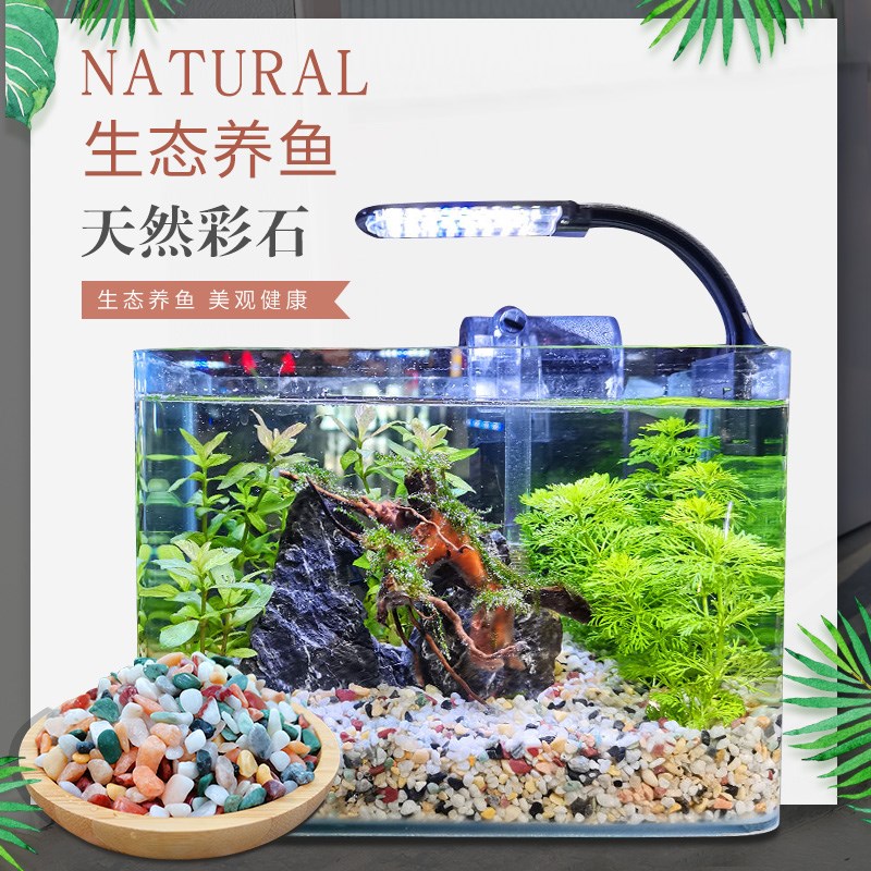 天然雨花石七彩小石子五彩石鹅卵石多肉花盆栽铺面石鱼缸造景石头