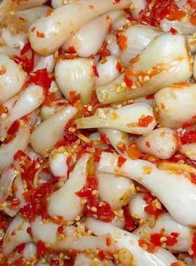 【马上张价】酸甜辣藠头四川特产下饭菜荞头新鲜腌制泡咸菜养生茶