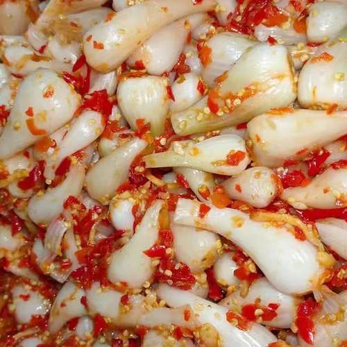 【马上张价】酸甜辣藠头四川特产下饭菜荞头新鲜腌制泡咸菜养生茶