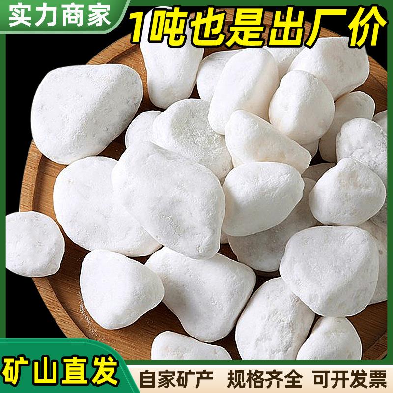 白色鹅卵石碎雪花白盆栽装饰白石子鹅卵石园艺庭院造景白色砾石