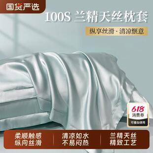 枕套双面真丝一对装 轻奢天丝夏季 高支冰丝凉整套48x74cm枕头枕套