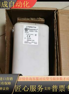 赔钱处理全新巴斯曼BUSMANN熔断器170M6734800