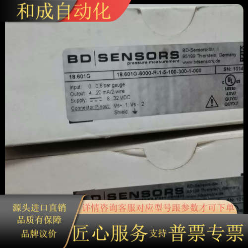 BE SENSORS变送器18.601G-6000-R-1-