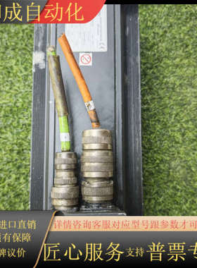 BRUSATORI伺服电机 M75204