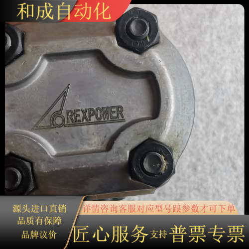 REXPOWER锐力液压齿轮泵 RGP-F202R-12