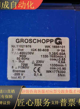 Groschopp 11021976 Groschopp全新