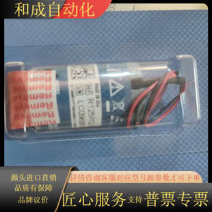 型号R125P02 MAXTEC原装 氧气传感器氧电池