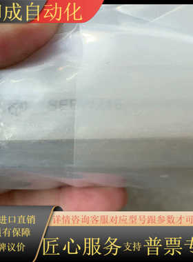 全新原装直线滑块SEBWZ16