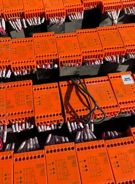 原装多德BD5935安全继电器