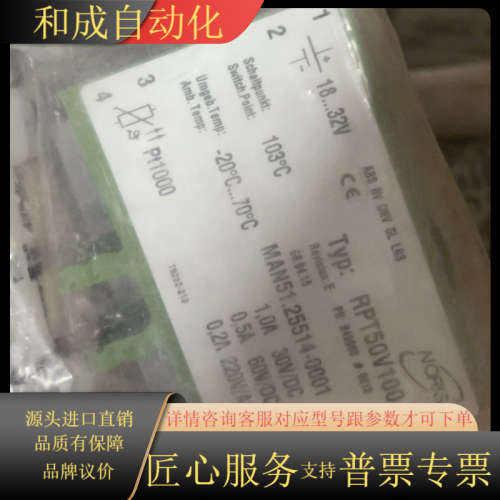 NORIS RPT50V100 PT1000 温度 限