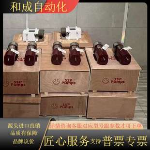 H07与 SSP 000L 000S 加香加料泵