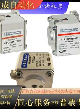 PC31UD69V160TF-M300299