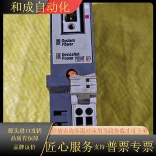 Bradley Allen 罗克韦尔