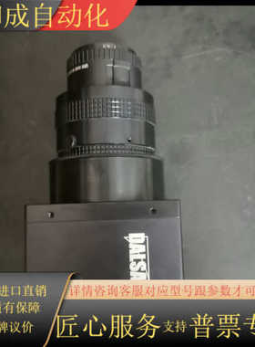 DASLA达尔萨 P3-87-12K40-01-R 工业线阵