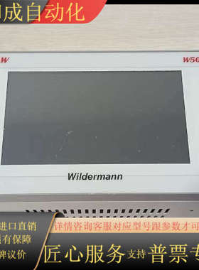 wildermann w500扭矩检测仪，监控仪