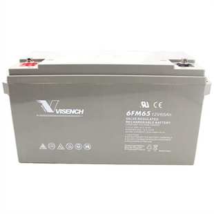 威神蓄电池6FM65 12V65AH 后备电源 数据基站 直流通信
