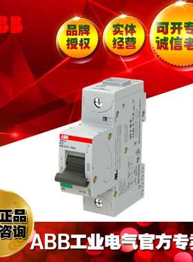 ABB微型断路器UL认证S801S-B6/2CCS861001R0065