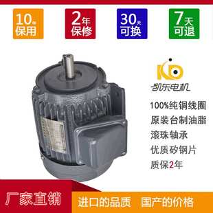 4P立式 0.75KW 耐高温系列三相长轴电动机 马达 厂家直销铸铁卧式