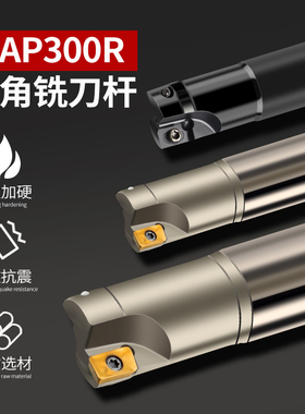 BAP300R数控1135铣刀杆CNC加工中心21飞刀杆17R0.8抗震铣刀16刀杆