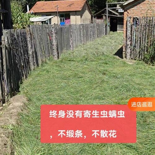 长白山乌拉草靰鞡草床垫1.5X2米,厚度3公分,古法编织,简装版。