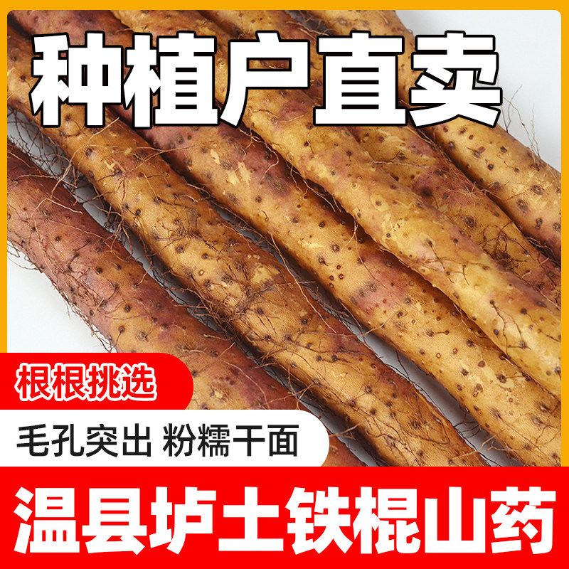 山药铁棍怀山药正宗温县新鲜焦作垆土淮山药糯面铁杆5斤特产地发