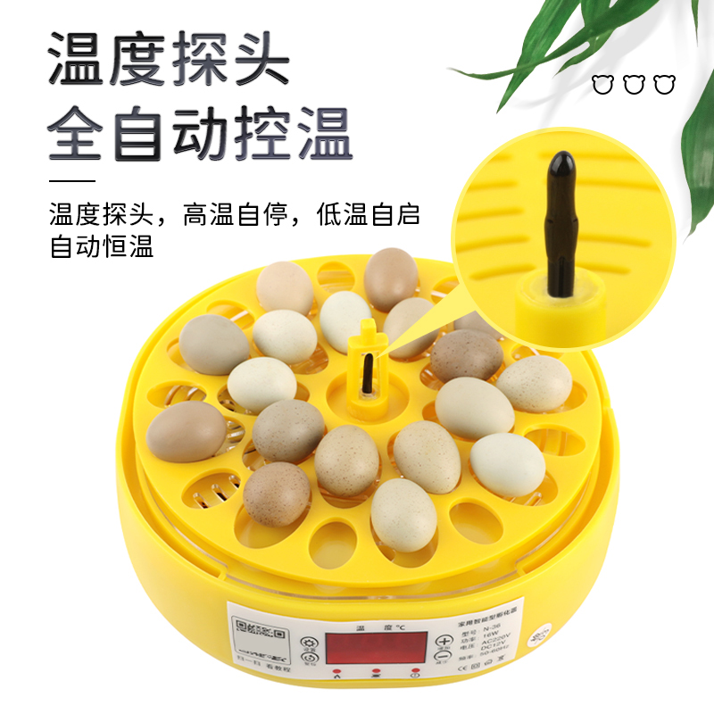 芦丁鸡孵化器小鸡孵蛋器小型家用儿童孵化机受精蛋水床全自动孵化