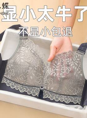 仙兰蝶大胸显小内衣女超