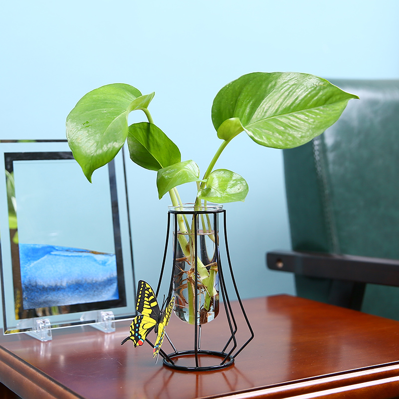 水培器皿创意玻璃花瓶水养植物透明花器绿萝铜钱草容器客厅插花瓶