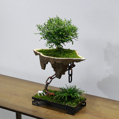 小叶九里香盆栽花卉苔藓植物桌面绿植室内客厅天空之城创意摆件
