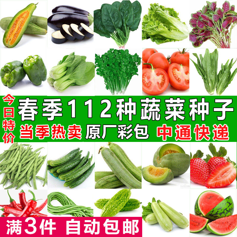 四季蔬菜种子适合阳台种植青菜生菜香菜菠菜黄瓜甜瓜菜籽种孑大全,鲜花速递/花卉仿真/绿植园艺,家庭园艺种子,淘宝优惠券,粉丝福利购,淘宝优惠卷