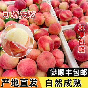 撕皮多汁】安徽突围水蜜桃现摘现发新鲜桃子批发整箱当季水果毛桃