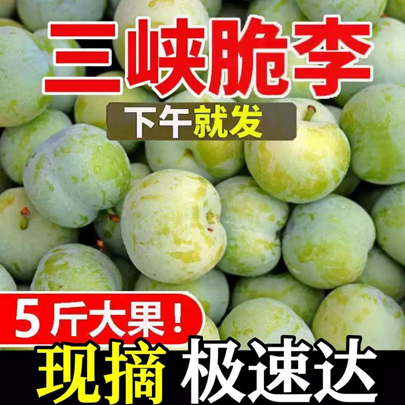 三峡脆李 重庆脱骨土李子新鲜水果5斤现货四川空心青脆李清甜巫山