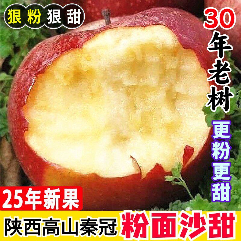 陕西粉面沙甜秦冠苹果新鲜当季水果整箱老人宝宝吃的应季红星平果