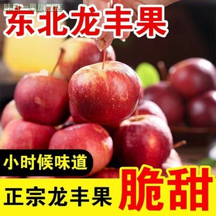 东北特产龙丰果大秋果新鲜当季小苹果海棠果孕妇水果整箱5斤包邮