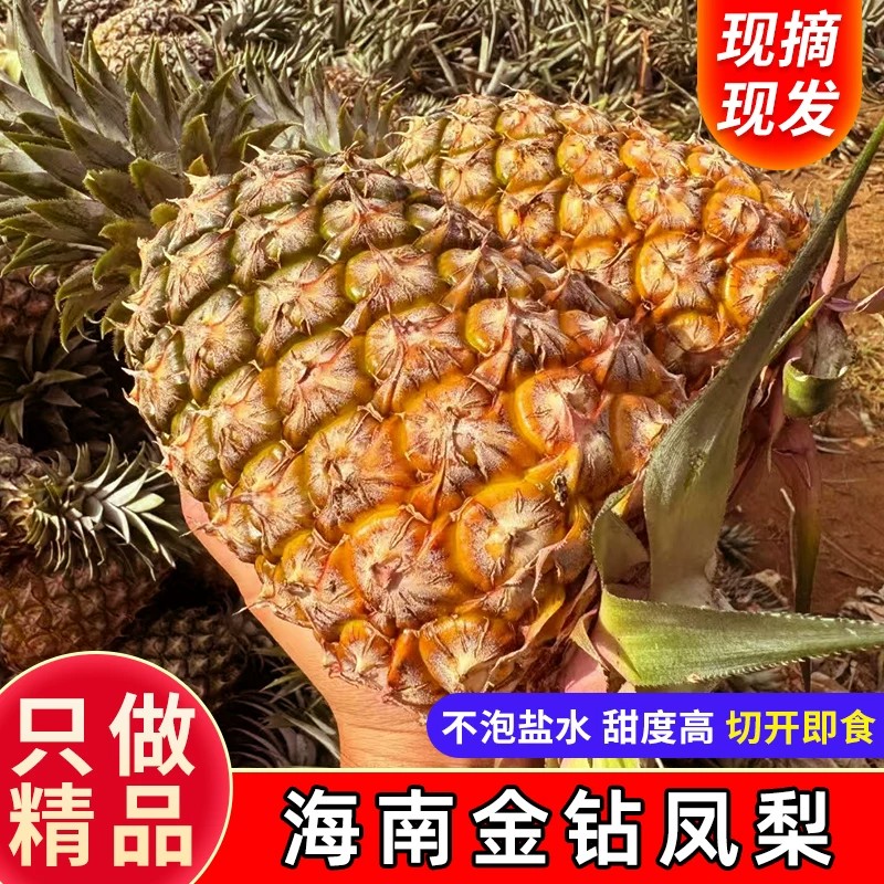 海南原产地发货新鲜金钻凤梨现摘现发大果非芒果凤梨手撕包邮图片