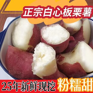 现挖冰糖薯新鲜白薯9斤老品种红薯白心超甜沙地板栗蜜薯地瓜