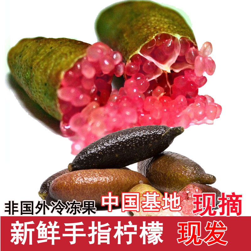 手指柠檬 鲜果稀有澳洲品种指橙鱼子酱50g指橘不常见水果