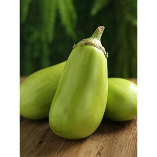 东北特产大绿茄子农家自种新鲜现摘绿皮茄子生吃青茄蔬菜 5斤包邮