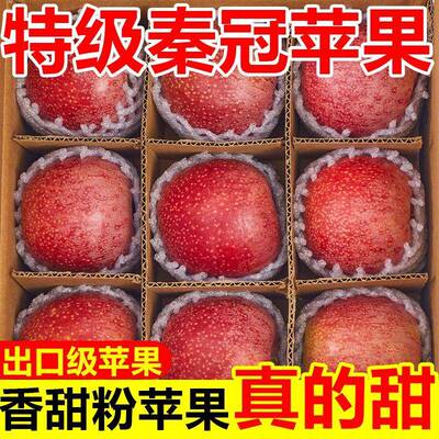 甘肃天水秦冠苹果粉糯香甜宝宝老人粉面刮泥新鲜苹果水果整箱10斤