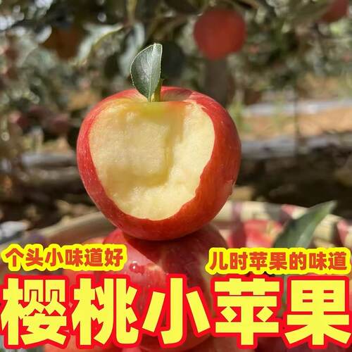 四川大凉山樱桃小苹果高山高原丑苹果应季新鲜水果整箱包邮
