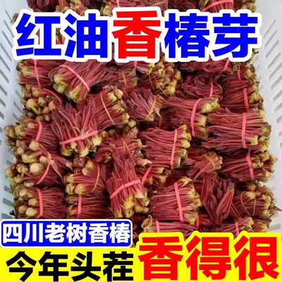 头茬红油香椿芽野生香椿芽嫩芽当季新鲜蔬菜香椿头现采红油香椿菜